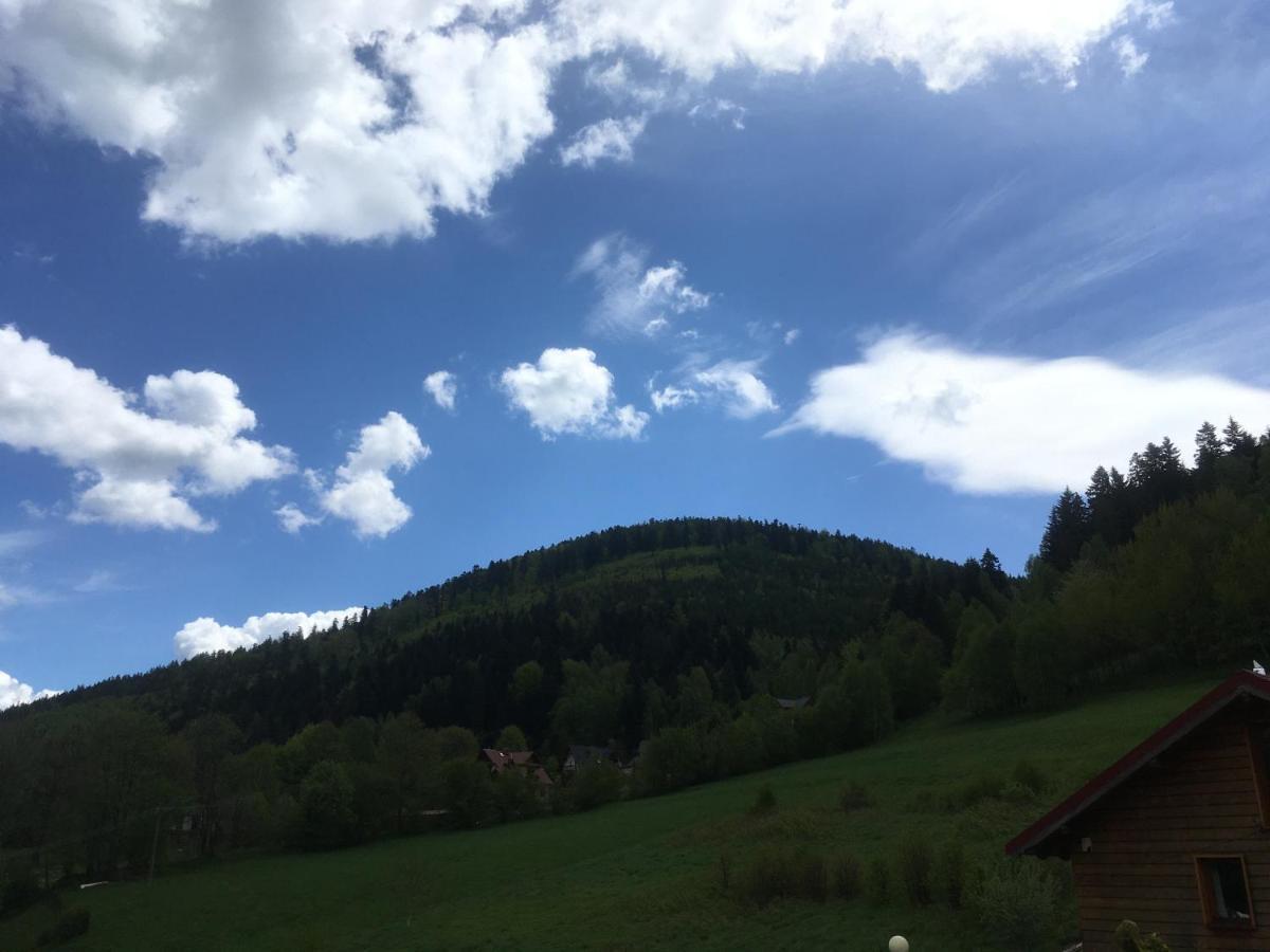 Osrodek Wypoczynkowy Zapalenica Bed & Breakfast ชเจอร์ค ภายนอก รูปภาพ