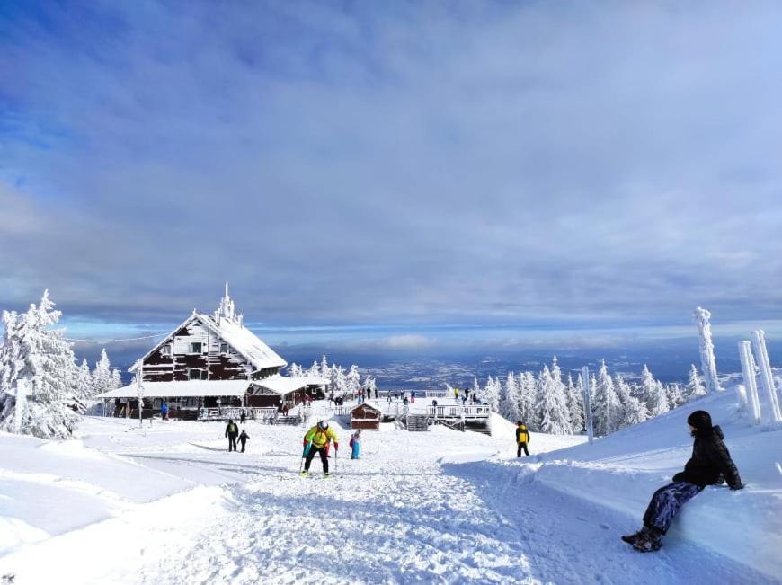 Osrodek Wypoczynkowy Zapalenica Bed & Breakfast ชเจอร์ค ภายนอก รูปภาพ